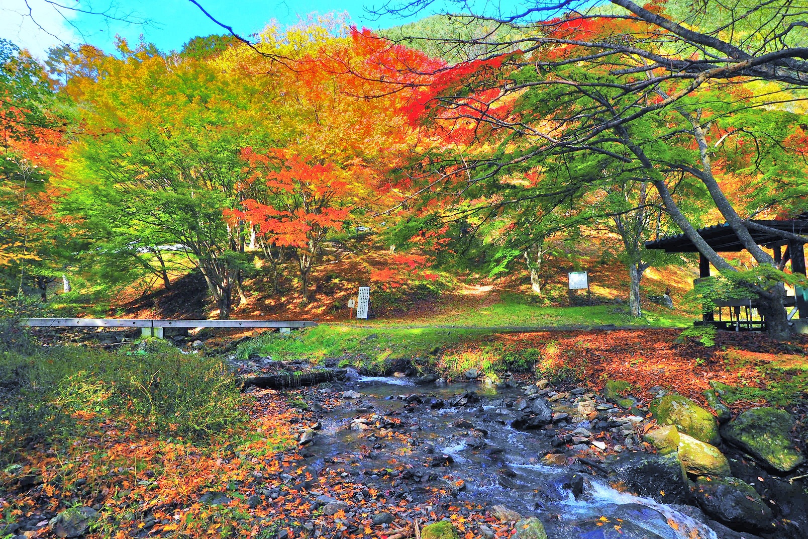 蛇石キャンプ場紅葉始まり