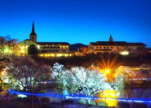 夜景の中きれいなイルミネーションに照らされた荒神桜