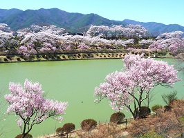 荒神山公園 たつの海