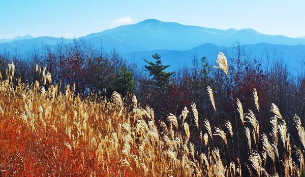 大城山の頂上の写真