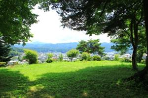 木々と緑の葉が生い茂る公園の写真