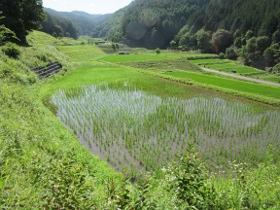 山間にある田んぼの写真