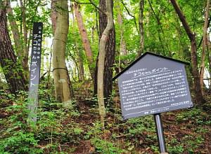 日本の中心の中心地 チコちゃんポイント 看板 写真画像