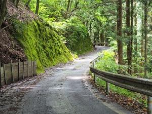 山道の画像