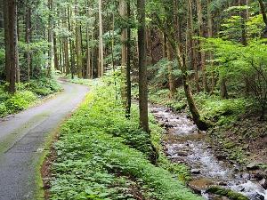 山道の画像