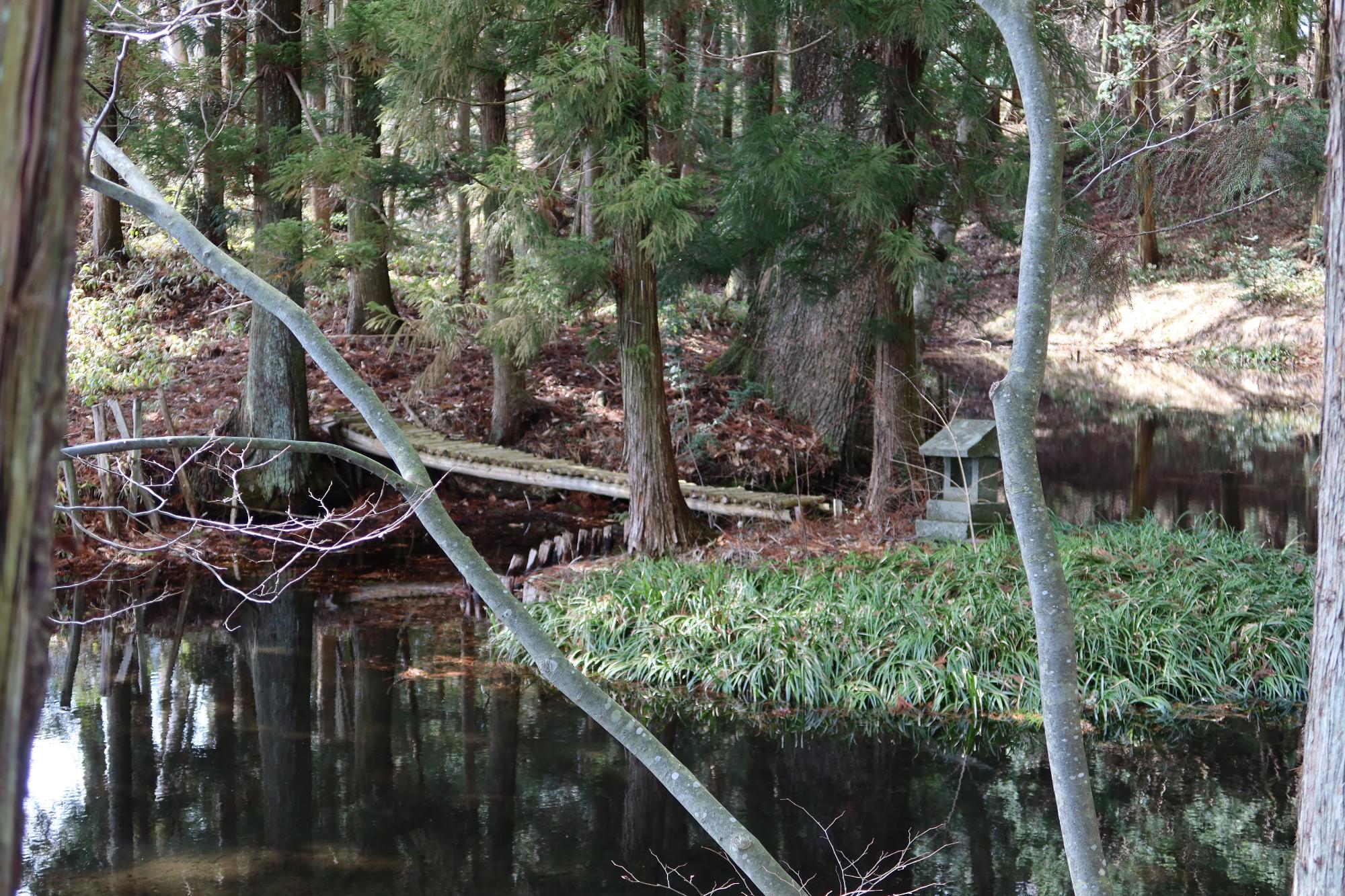 矢彦・小野神社の社叢