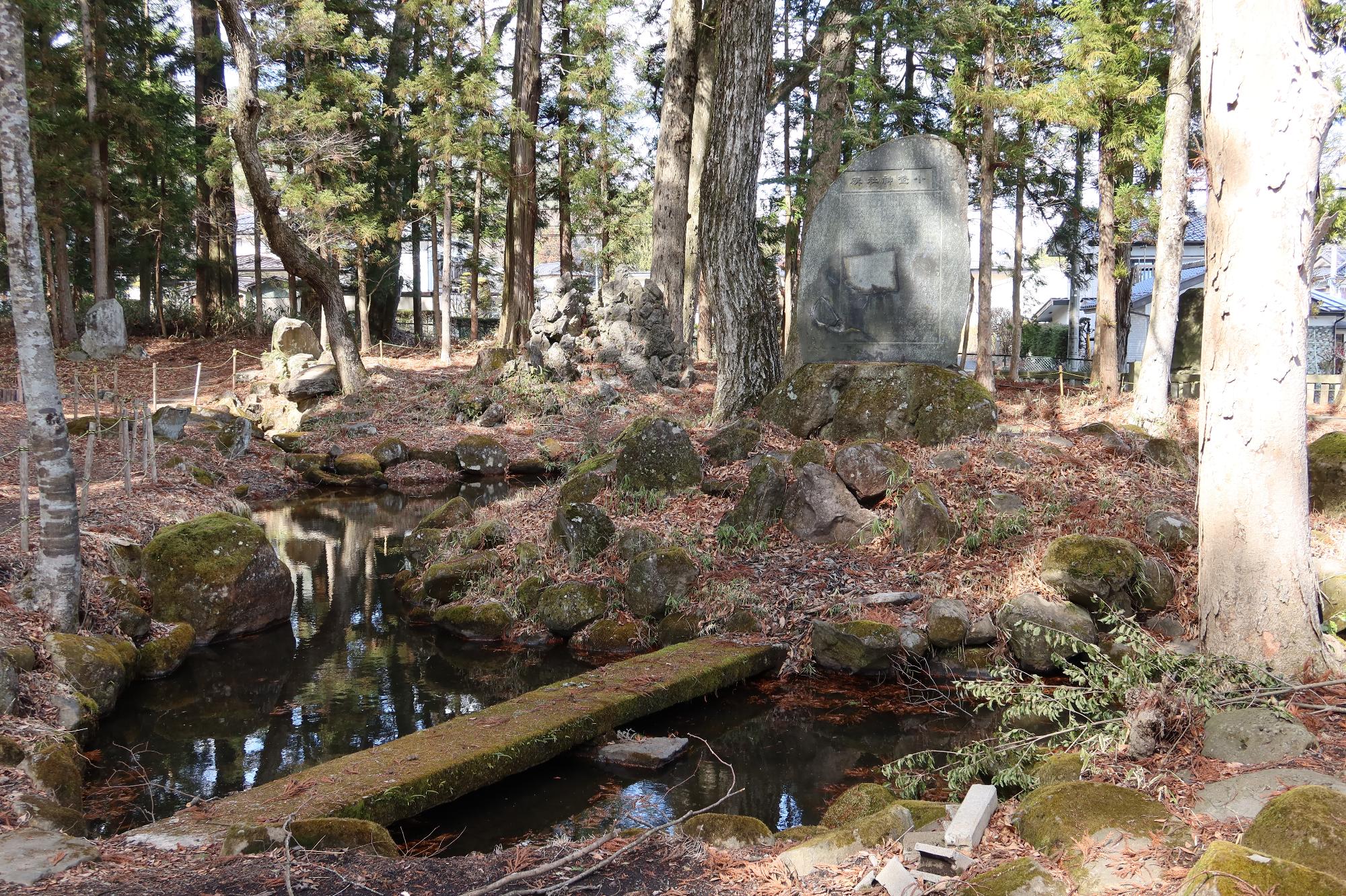 矢彦・小野神社の社叢