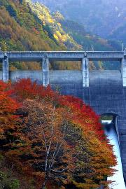 紅葉と横川渓谷・横川ダム の写真画像