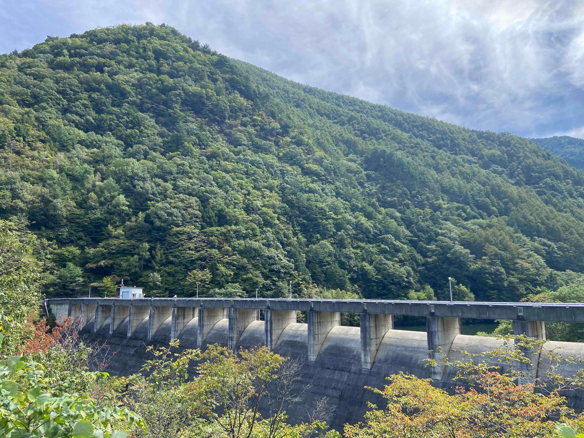 横川ダム青葉