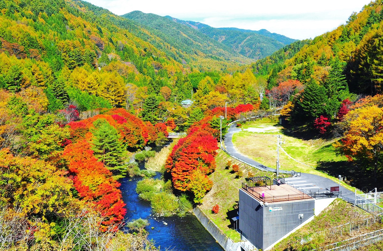 横川ダム紅葉始まり