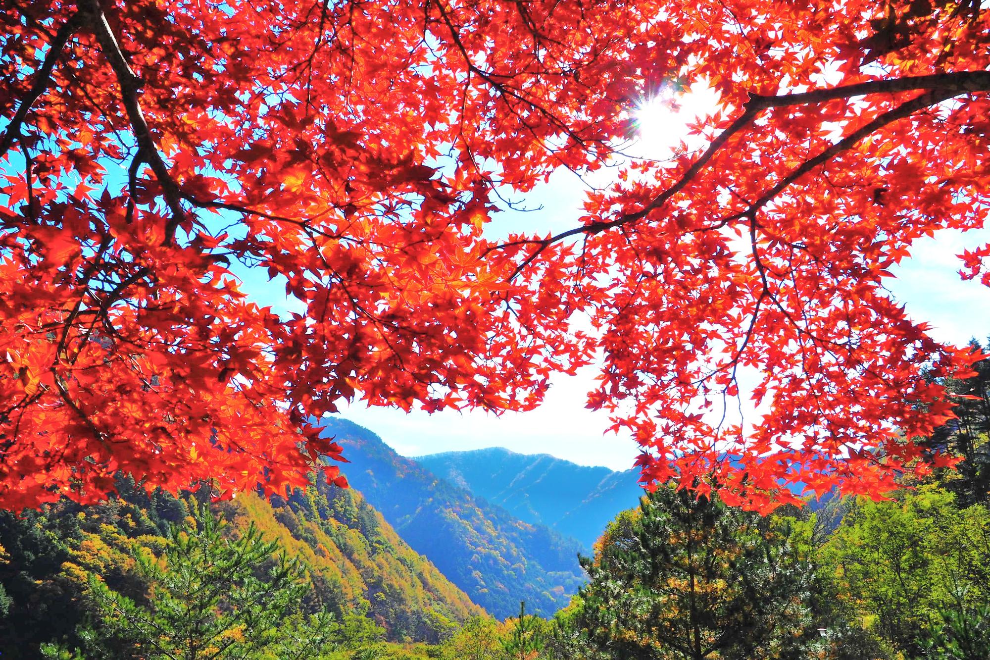 紅葉始まり