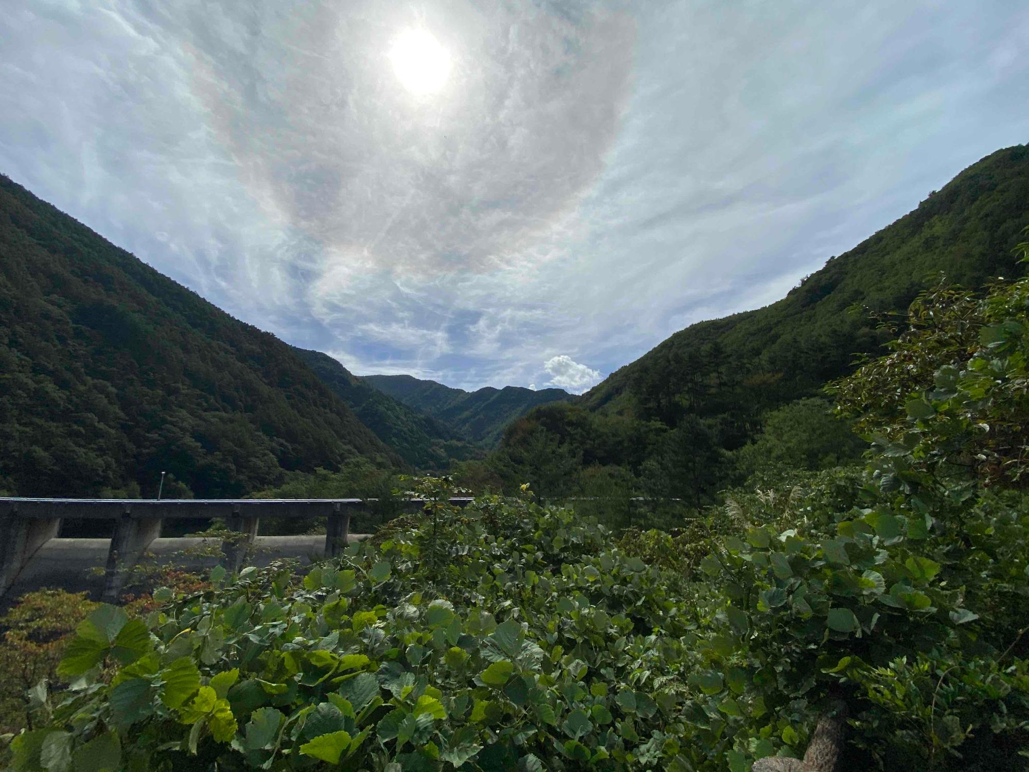 横川ダム青葉