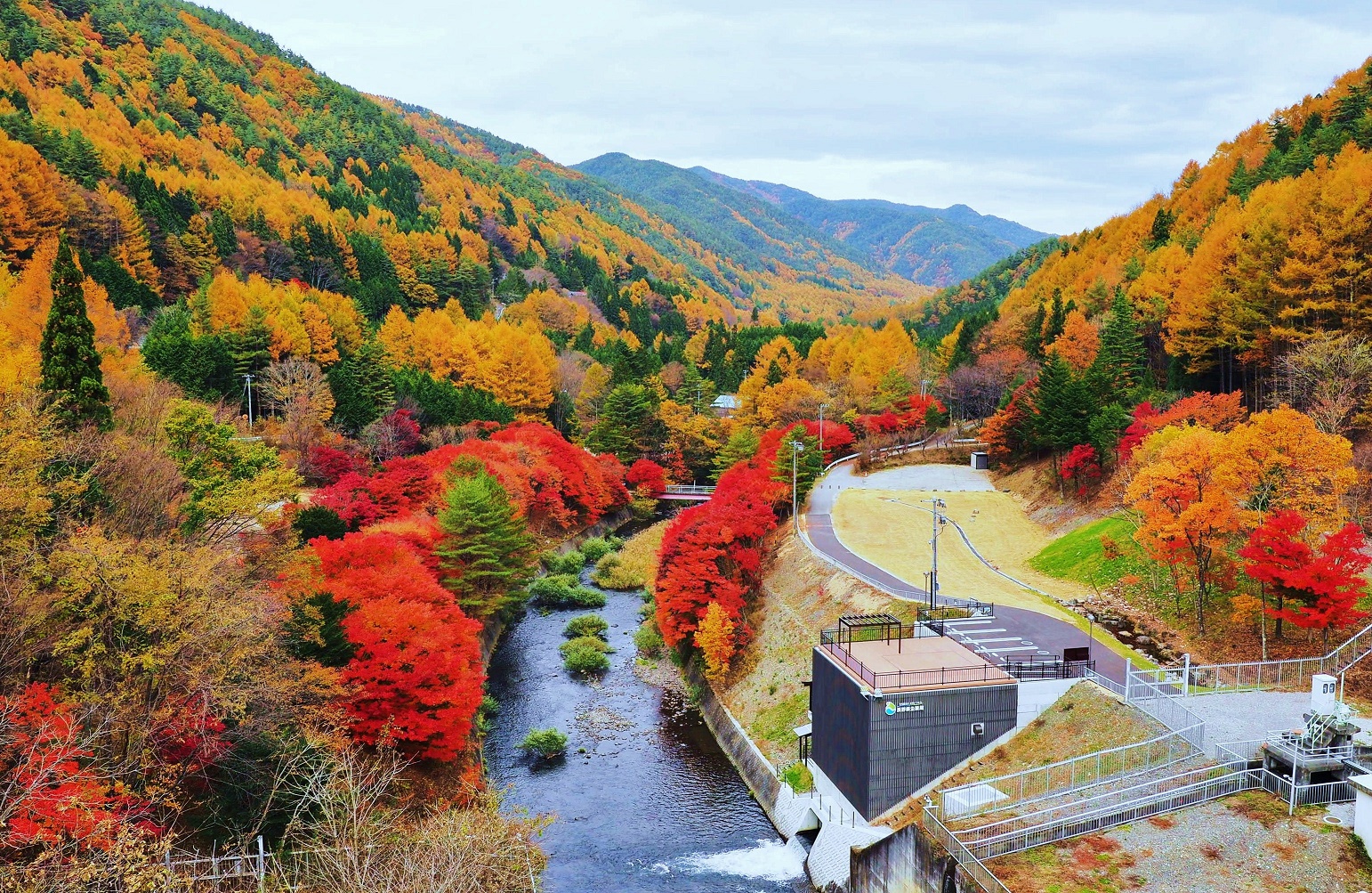 横川渓谷の紅葉の俯瞰画像