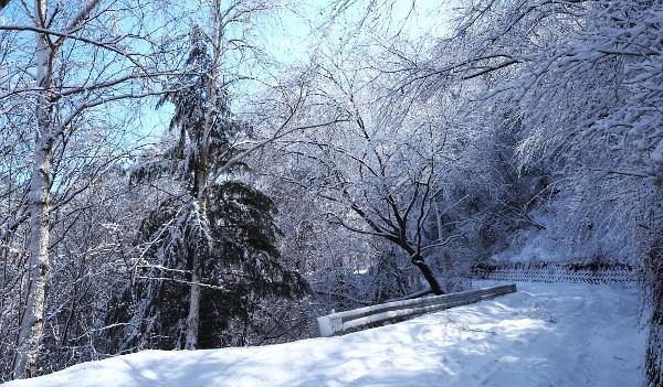 新雪の山道の写真