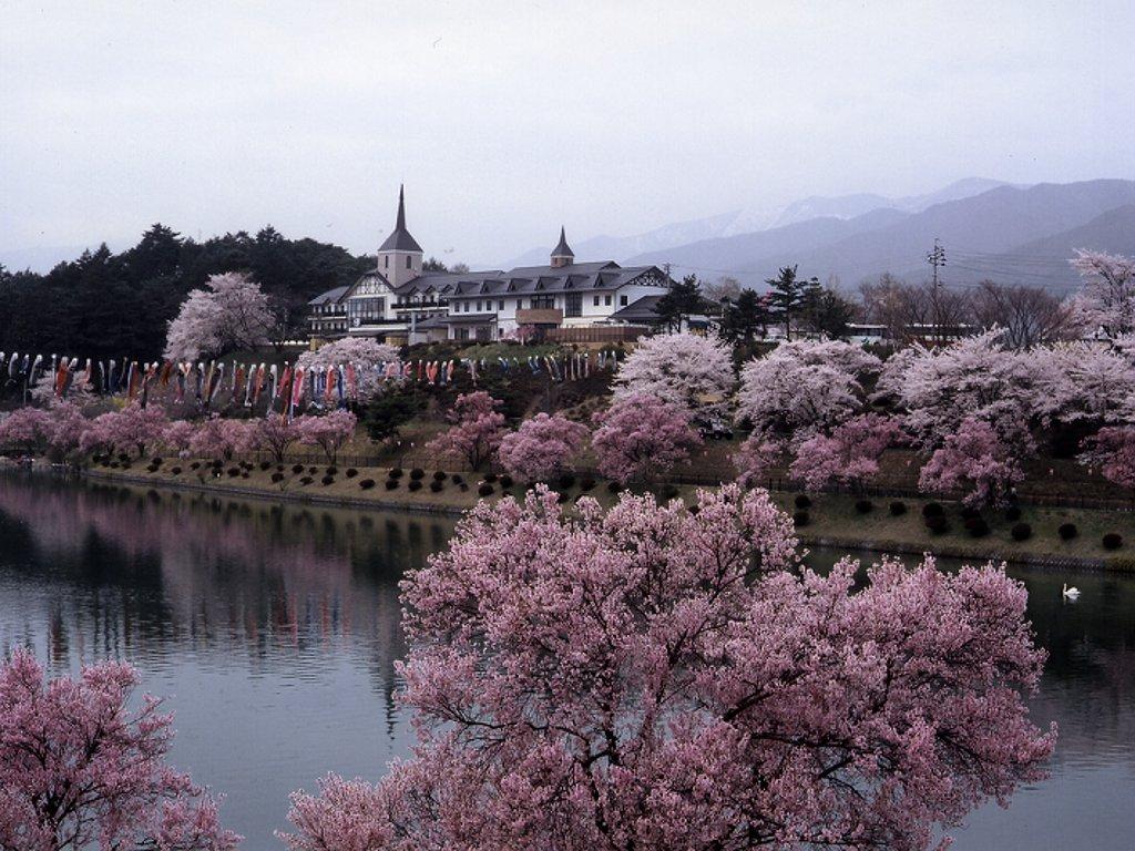 川沿いに桜が並んでいる荒神山公園の写真